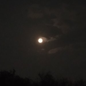 无名