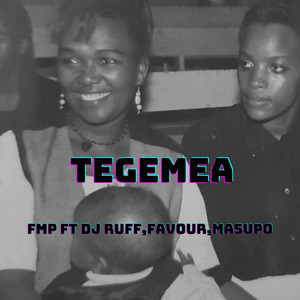 Tegemea