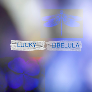 Libelula