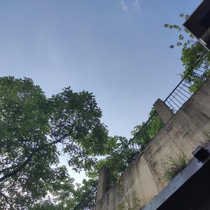 熬夜上瘾（翻自 刘亦心（可乐就是力量））