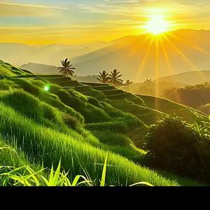 心灵疗愈 (标准版)