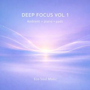 Inner Flow (Focus Study Music)