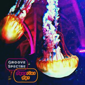 Groove Diggin