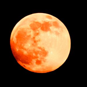 Geek Music-From the damaged coda(Somnambulist Remix)（LokiXXT remix）