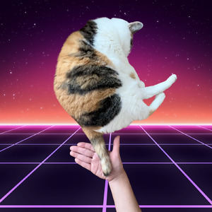 しっぽのリズム