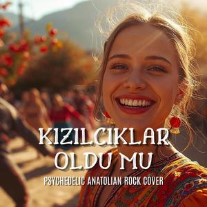 Kızılcıklar Oldu Mu