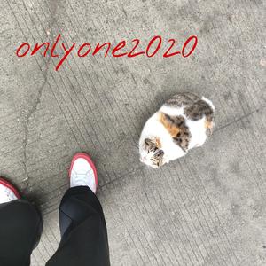 Various Artists-onlyone2020（Y.who remix）
