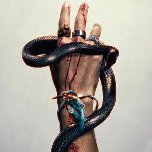 Live simply, dream big