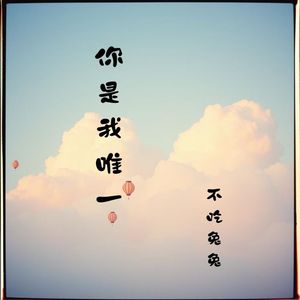 你是我唯一
