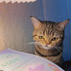 迷茫 Prod by Sun beat