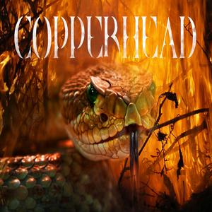 Battlefields (Viking)