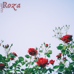 Roza