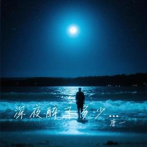 深夜醉了多少回 (DJ沈恋版)
