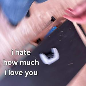 I Hate How Much I Love You