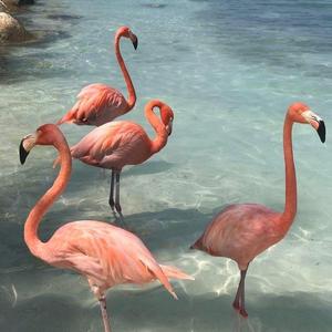 Maroon 5-Maroon 5 - Don't Wanna Know (TPaul Radio Remix)（音源 remix）