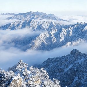 爱而不得之人近在身旁