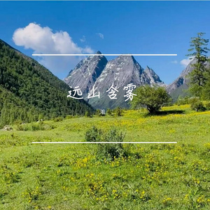 晚风不回
