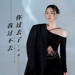 你过去了我过不去