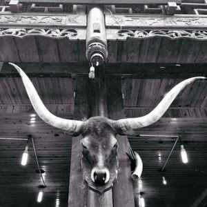 我又想起你了Demo