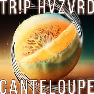 CANTELOUPE