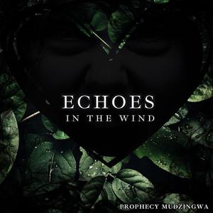 Echoes (feat. Dan Jackson, Martine Holliday & Anson Young)