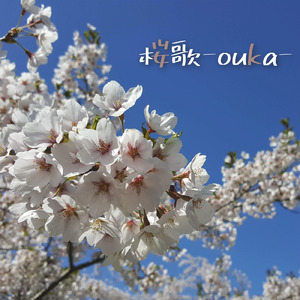 桜歌