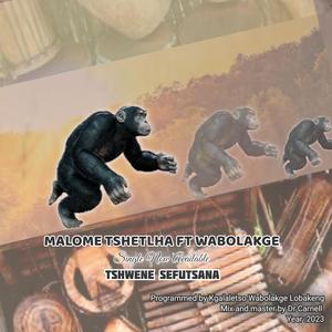 TSHWENE SEFUTSANA (feat. MALOME TSHETLHA)