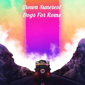 The Oddstash Village