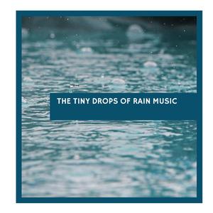 Graceful Moderate Waves