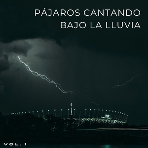 Pacífico Descanso De Lluvia