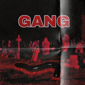 GANG到底