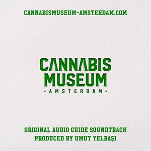 Cannabis Museum Amsterdam