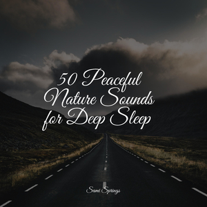 Rain, Vegetation, Wood, Heavy Wind