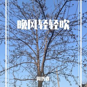 晚风轻轻吹