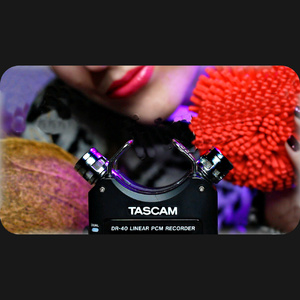 Asmr 15+ Tascam Trigger for Sleep, 2 Dried Cascabel Chillies, Seed Shaking, No Talking, Pt. 16