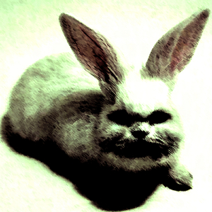 Cockaigne (Original Mix)