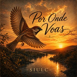 Por onde voas