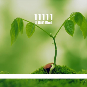 11111-整曲