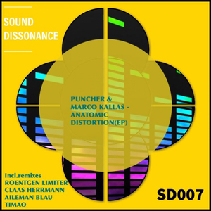 Anatomic Distortion (Roentgen Limiter Remix)