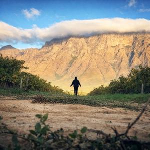 Like Fate, Like Wonder