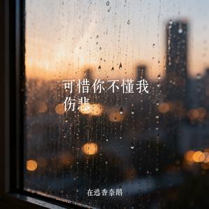 可惜你不懂我伤悲