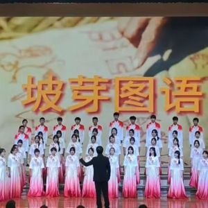 凤凰花开的路口