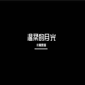 温柔的月光-整曲