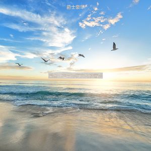 正在学习陶醉的轻音乐