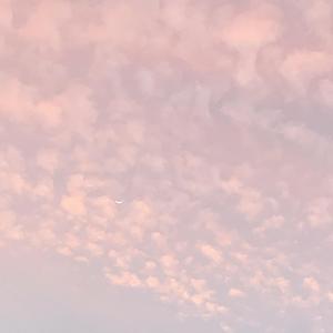 我是一只鱼（大御姐版）