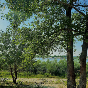 황혼의 빛에 대한 인식