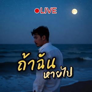ถ้าฉันหายไป(Concert)