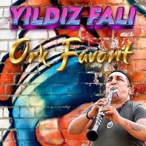 Sev Gönlünce Yaşa