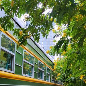 晨雾初开的那一刻