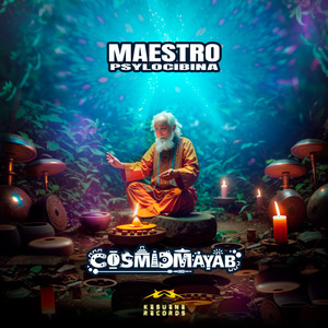 Maestro Psylocibina